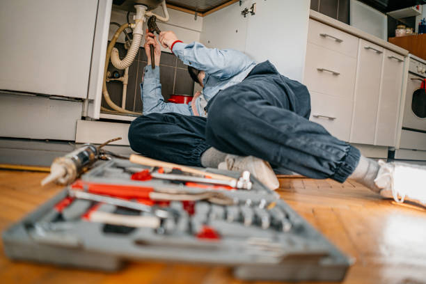 Best Plumbing Installation Services  in River Rouge, MI