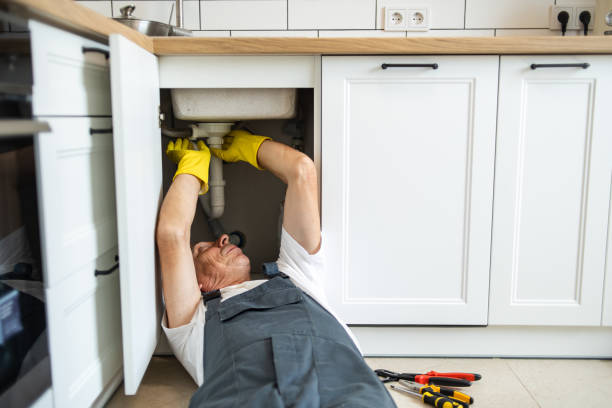 Best Commercial Plumbing Services  in River Rouge, MI