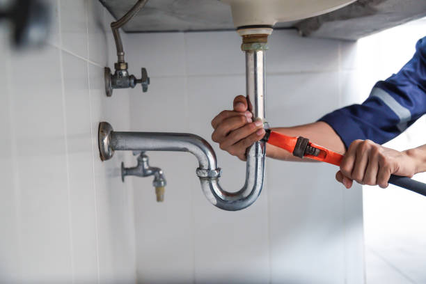Best Clogged Drain Plumber  in River Rouge, MI
