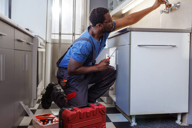 Best Toilet Repair Services  in River Rouge, MI